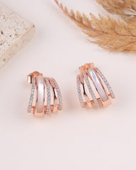 Rose gold and silver hoop earrings on a light background with dried plants.
