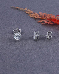 Two silver stud earrings on a gray surface with dried leaves in the background